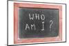 Who Am I-Yury Zap-Mounted Photographic Print