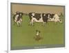 Who's Afraid, a Perky Little Dog Keeps an Eye on Three Cows-Cecil Aldin-Framed Photographic Print