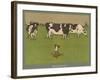 Who's Afraid, a Perky Little Dog Keeps an Eye on Three Cows-Cecil Aldin-Framed Photographic Print