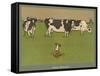 Who's Afraid, a Perky Little Dog Keeps an Eye on Three Cows-Cecil Aldin-Framed Stretched Canvas