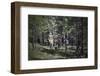 Who’s Got It Better Than Us-Barry Hart-Framed Giclee Print