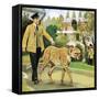 Who's Who at the Zoo: Rabiu, the Dog-Like Cat-G. W Backhouse-Framed Stretched Canvas