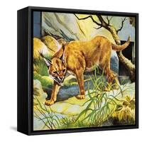 Who's Who in the Zoo: the King's Pet Cat-G. W Backhouse-Framed Stretched Canvas