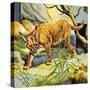Who's Who in the Zoo: the King's Pet Cat-G. W Backhouse-Stretched Canvas