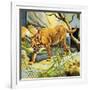 Who's Who in the Zoo: the King's Pet Cat-G. W Backhouse-Framed Giclee Print