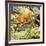 Who's Who in the Zoo: the King's Pet Cat-G. W Backhouse-Framed Giclee Print