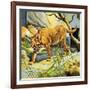 Who's Who in the Zoo: the King's Pet Cat-G. W Backhouse-Framed Giclee Print