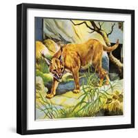 Who's Who in the Zoo: the King's Pet Cat-G. W Backhouse-Framed Giclee Print