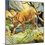 Who's Who in the Zoo: the King's Pet Cat-G. W Backhouse-Mounted Giclee Print