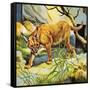 Who's Who in the Zoo: the King's Pet Cat-G. W Backhouse-Framed Stretched Canvas