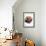 Whole And Halved Figs-Jon Stokes-Framed Photographic Print displayed on a wall