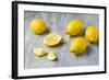 Whole and Sliced Lemons on Grey Subsoil-Jana Ihle-Framed Photographic Print