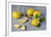 Whole and Sliced Lemons on Grey Subsoil-Jana Ihle-Framed Photographic Print