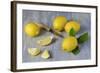 Whole and Sliced Lemons on Grey Subsoil-Jana Ihle-Framed Photographic Print