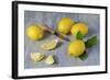 Whole and Sliced Lemons on Grey Subsoil-Jana Ihle-Framed Photographic Print