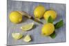 Whole and Sliced Lemons on Grey Subsoil-Jana Ihle-Mounted Photographic Print