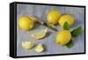 Whole and Sliced Lemons on Grey Subsoil-Jana Ihle-Framed Stretched Canvas