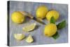 Whole and Sliced Lemons on Grey Subsoil-Jana Ihle-Stretched Canvas