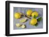 Whole and Sliced Lemons on Grey Subsoil-Jana Ihle-Framed Photographic Print