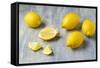 Whole and Sliced Lemons on Grey Subsoil-Jana Ihle-Framed Stretched Canvas