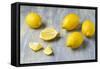 Whole and Sliced Lemons on Grey Subsoil-Jana Ihle-Framed Stretched Canvas