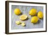 Whole and Sliced Lemons on Grey Subsoil-Jana Ihle-Framed Photographic Print