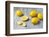 Whole and Sliced Lemons on Grey Subsoil-Jana Ihle-Framed Photographic Print