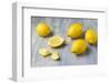 Whole and Sliced Lemons on Grey Subsoil-Jana Ihle-Framed Photographic Print