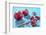 Whole and Sliced Pomegranates on Turquoise Wooden Table-Jana Ihle-Framed Photographic Print