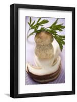 Whole Cep, Cep Slices and Parsley-Eising Studio - Food Photo and Video-Framed Photographic Print