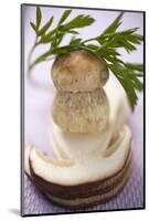 Whole Cep, Cep Slices and Parsley-Eising Studio - Food Photo and Video-Mounted Photographic Print