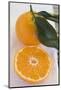 Whole Clementine and a Half Clementine-Foodcollection-Mounted Photographic Print