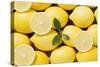 Whole Lemons and Lemon Slices-Eising Studio - Food Photo and Video-Stretched Canvas