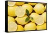 Whole Lemons and Lemon Slices-Eising Studio - Food Photo and Video-Framed Stretched Canvas