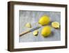 Whole Lemons, Lemon Pieces and Knife on a Gray Background-Jana Ihle-Framed Photographic Print
