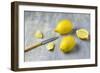 Whole Lemons, Lemon Pieces and Knife on a Gray Background-Jana Ihle-Framed Photographic Print