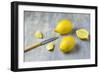 Whole Lemons, Lemon Pieces and Knife on a Gray Background-Jana Ihle-Framed Photographic Print