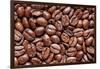 Whole Roasted Coffee Beans-Steve Gadomski-Framed Photographic Print