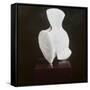 Whole Vertebra, 2012-Lincoln Seligman-Framed Stretched Canvas