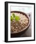 Wholegrain Rice in a Terracotta Bowl-Malgorzata Stepien-Framed Photographic Print