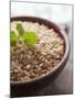 Wholegrain Rice in a Terracotta Bowl-Malgorzata Stepien-Mounted Photographic Print