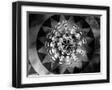Black Frame
