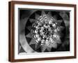 Brown Frame