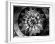 White Frame