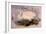 Whooper Swan, Cygnus Cygnus-Edward Lear-Framed Giclee Print