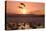 Whooper Swans at Sunset-null-Stretched Canvas