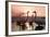 Whooper Swans at Sunset-null-Framed Photographic Print