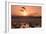 Whooper Swans at Sunset-null-Framed Photographic Print