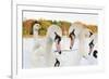 Whooper Swans (Cygnus Cygnus) and Mute Swans (Cygnus Olor) Close Up on Water. Scotland, November-Fergus Gill-Framed Photographic Print