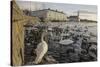 Whooper Swans (Cygnus Cygnus) and Other Waterfowl on Tjörnin (The Pond) Reykjavik-Terry Whittaker-Stretched Canvas